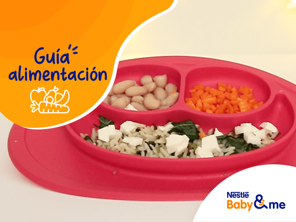 Guía alimentación