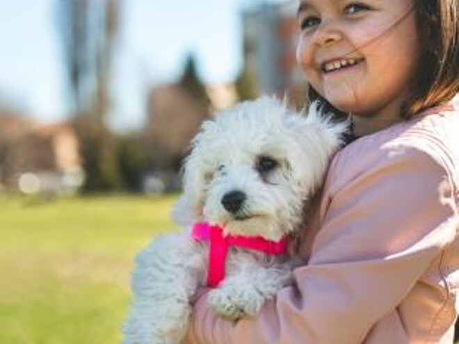 Enseña a tus hijos los cuidados básicos de las mascotas