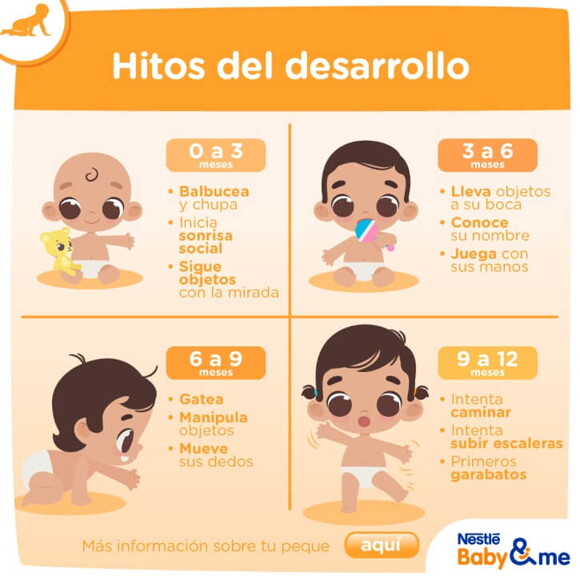 Desarrollo de tu bebé de 3 meses (etapa 0) - Nestlé y el desarrollo de tu  bebé 