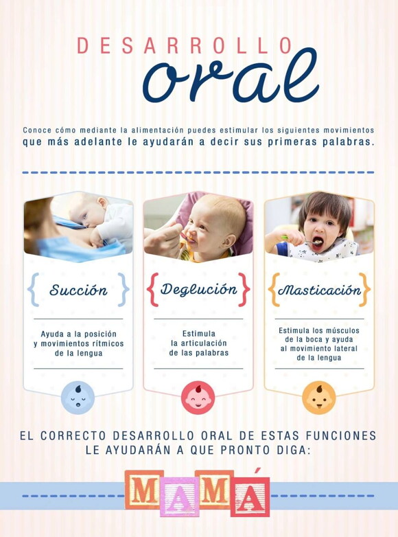 Desarrollo oral de un bebé