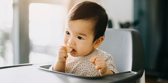 Un bebe de 6 meses puede comer galletitas , tipo maria o okebon